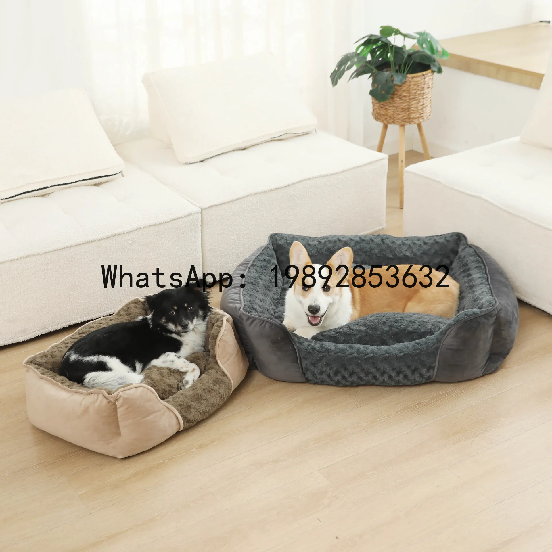 Pet X Supplies - X domek dla kota, półzamknięta buda