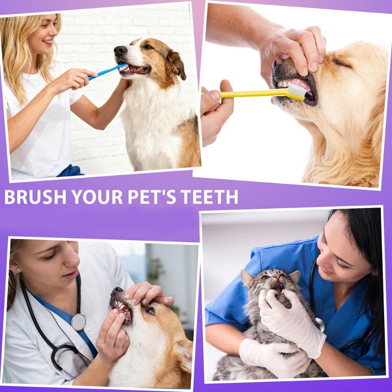 Dog Paw Cleaner - AB66 - Narzędzie do higieny jamy