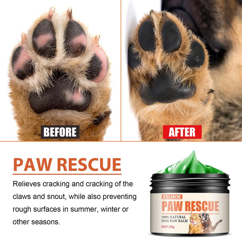 Krem do czyszczenia łapa kota  – Dog Paw Cleaner recenzja i cena