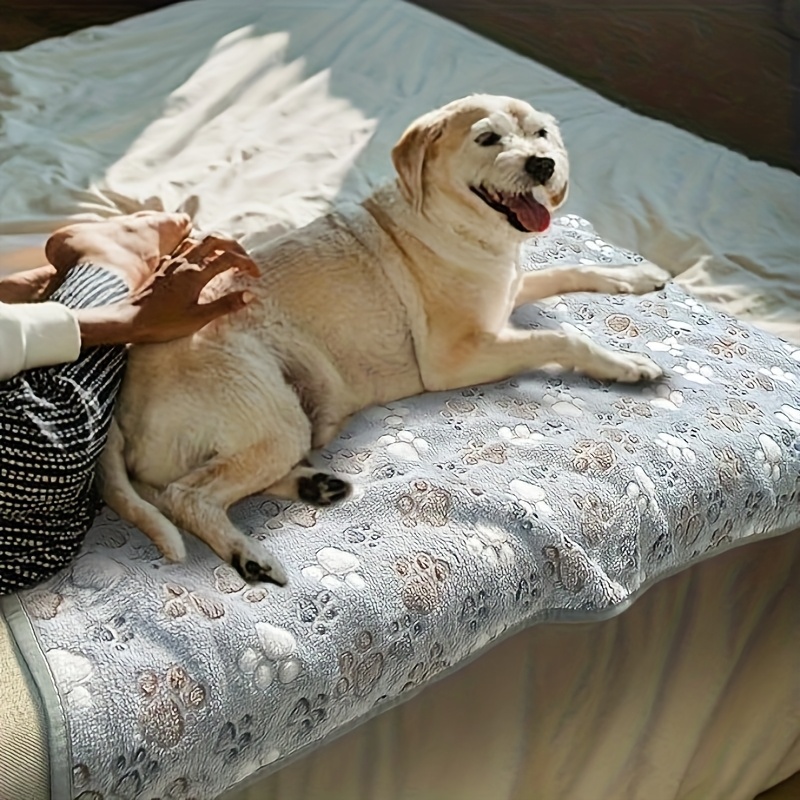 Wygodny ręcznik dla zwierząt,  – Pet Supplies For Dogs recenzja i cena