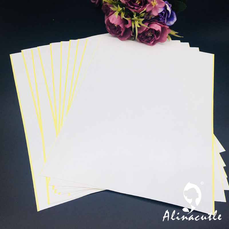 10PC X A4 taśma dwustronna moc – Pet X Supplies recenzja i cena