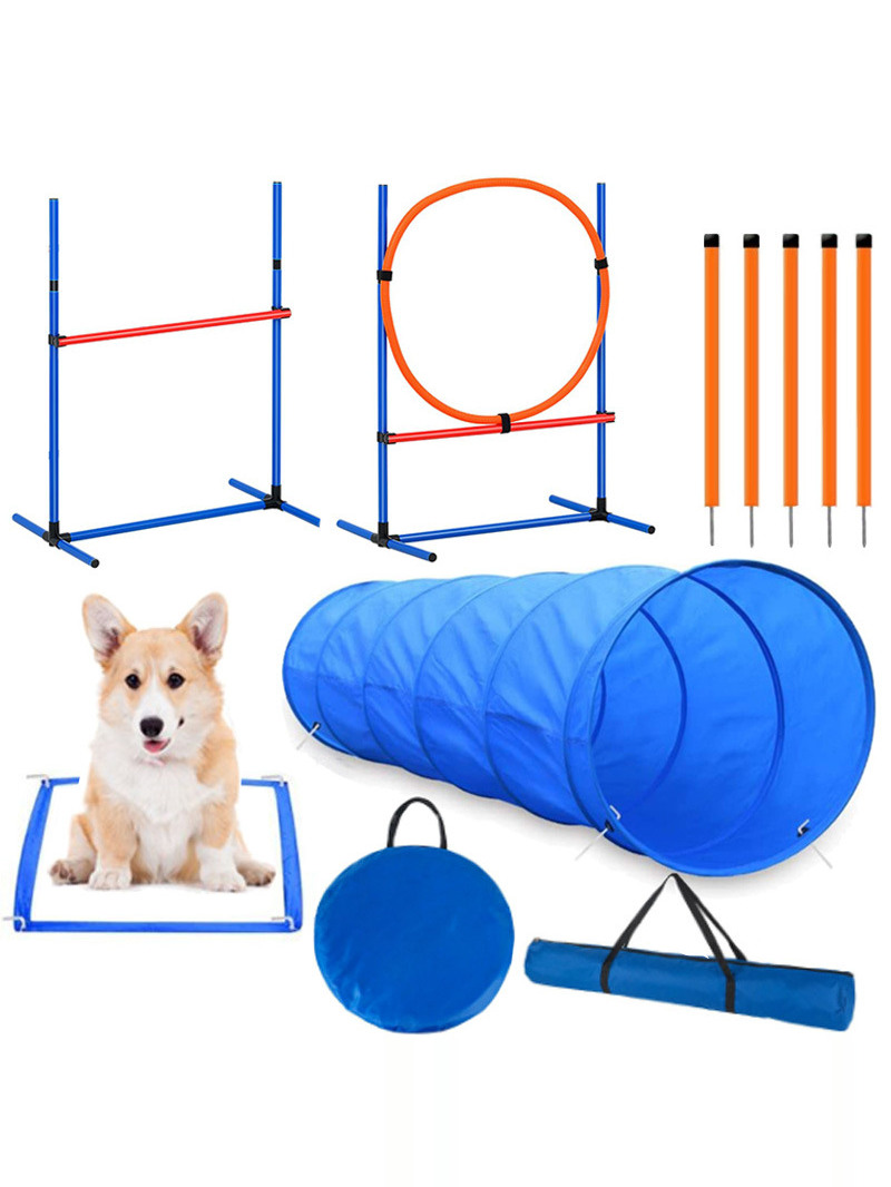 Akcesoria do treningu psów na  – Pet Supplies For Dogs recenzja i cena