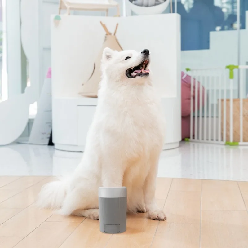 Półautomatyczny kubek do czysz – Dog Paw Cleaner recenzja i cena