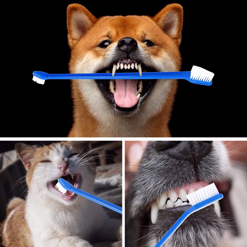 AB66 - Narzędzie do higieny ja – Dog Paw Cleaner recenzja i cena